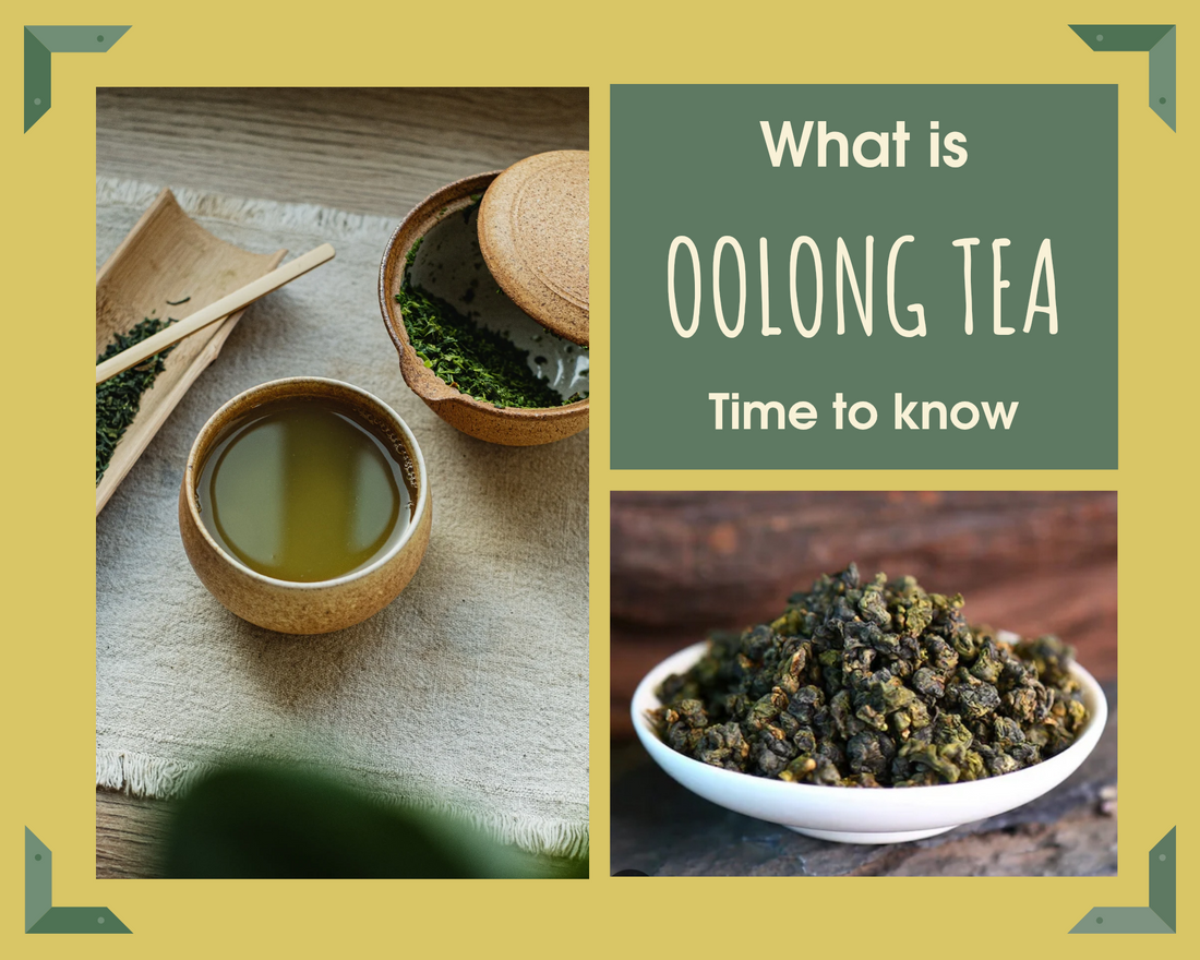 OOLONG - WHAT IS IT? 🫖