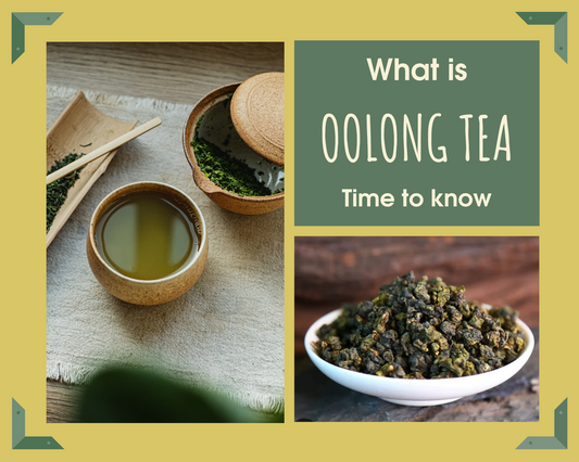 OOLONG - WHAT IS IT? 🫖