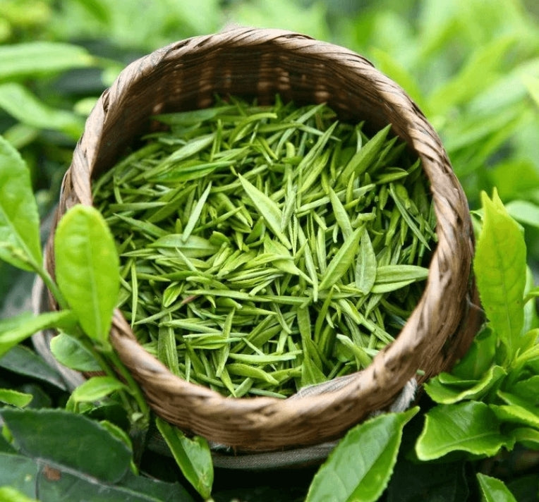 Green tea, Tea in Kamloops, Time To Tea, Best tea store