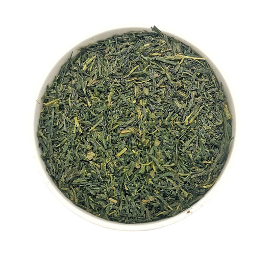SHORE SENCHA