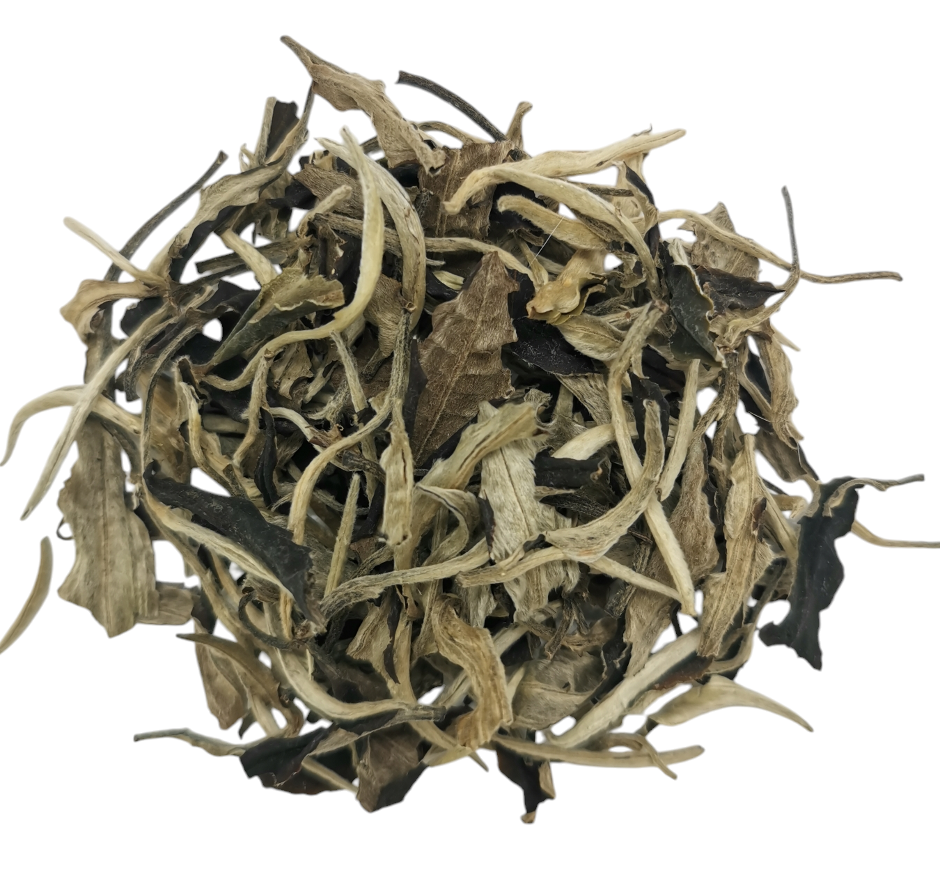 MOON LIGHT WHITE PU'ERH - Time to Tea